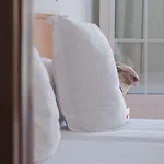 Jeni & Restaurant Hotel